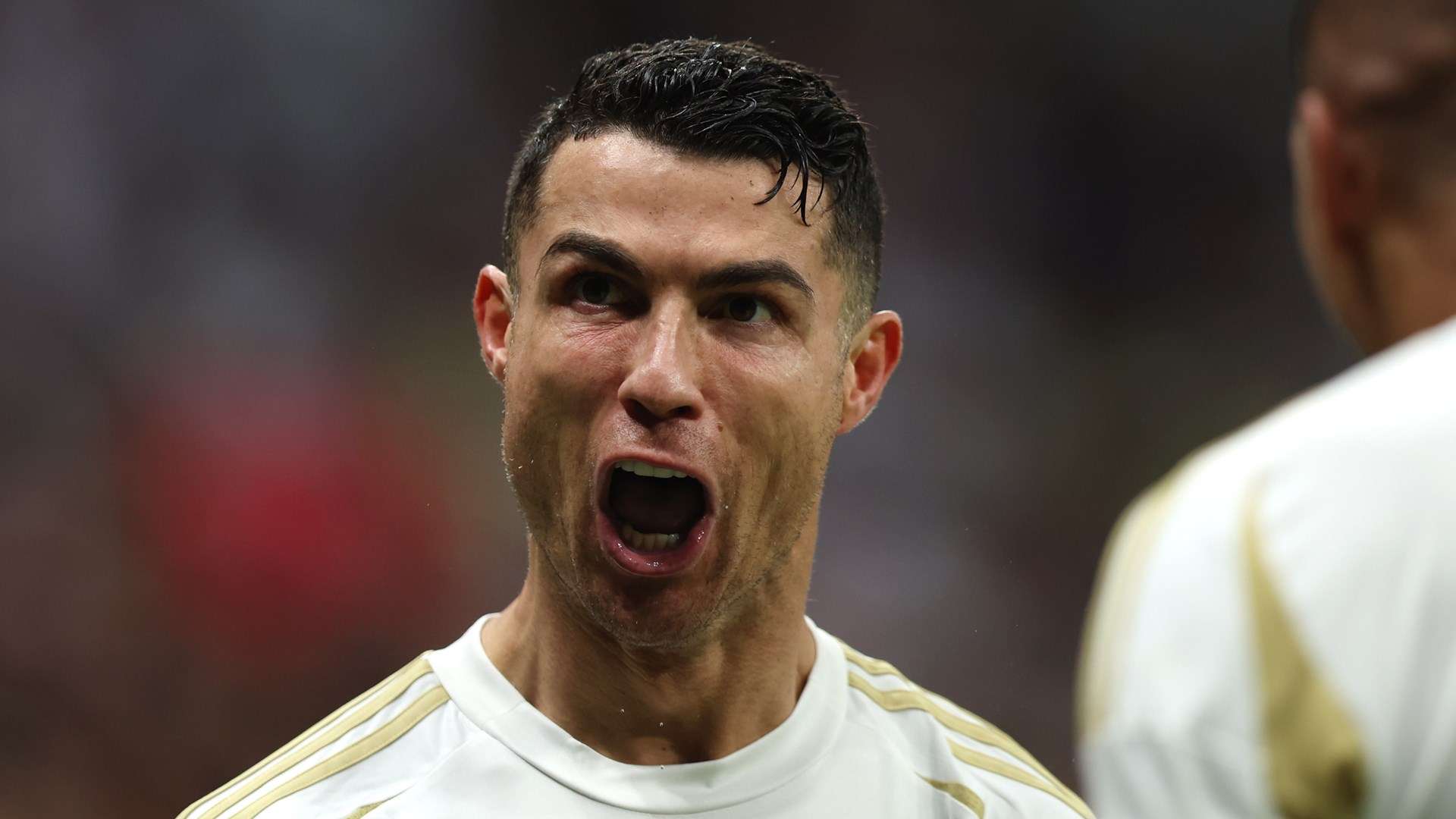 文化和传统 文化和传统